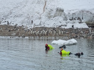 snorkelling_in_antarctica
