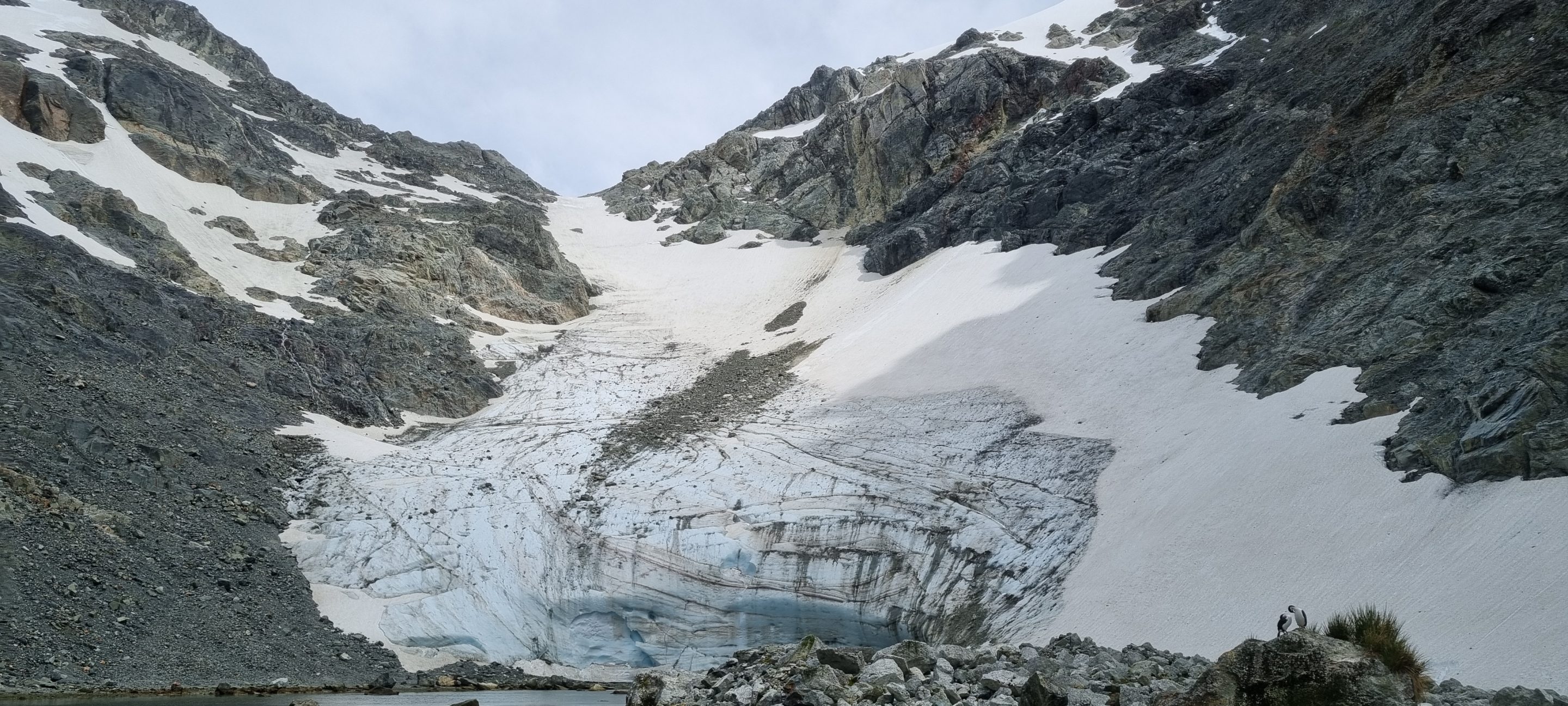 Glaciation_in_Antarctica