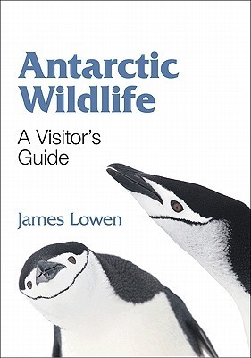 The Lost Men- The Harrowing Story of Shackleton’s Ross Sea Party by Kelly Tyler-Lewis book cover books about antarctica
