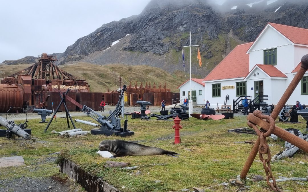 Grytviken