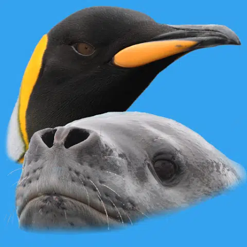 antarctic wildlife app logo