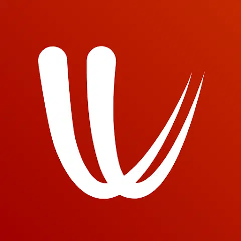 windy app logo- useful apps for antarctica